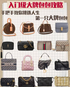 必備：41款精品包入門級(jí)推薦，時(shí)尚穿搭不落空，輕松打造潮流穿搭！